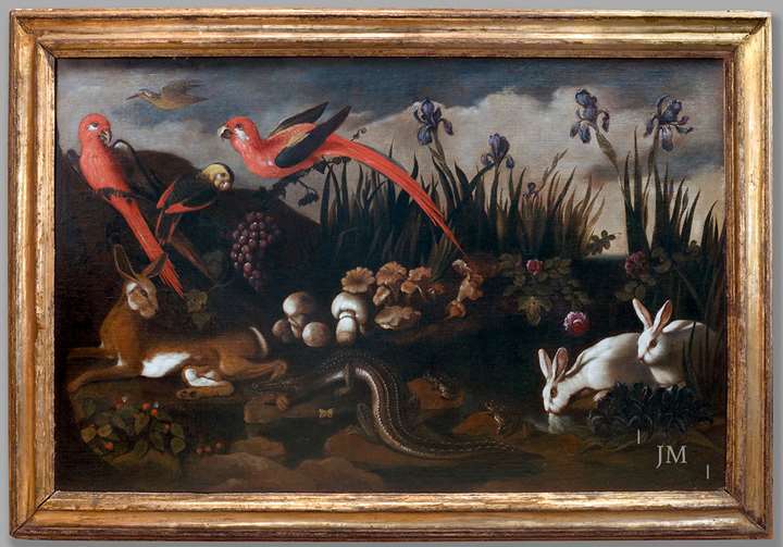 A ‘sottobosco’ landscape with parrots, a hare, rabbits, a caiman, frogs and wild irises and fungi by a rocky pool
